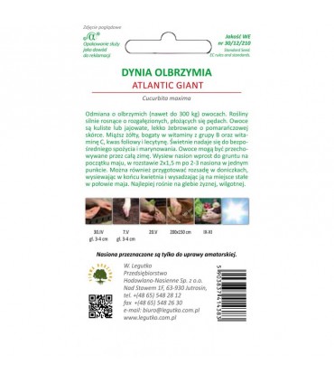 LW - DYNIA OLBRZYMIA ATLANTIC GIANT 3g /3/