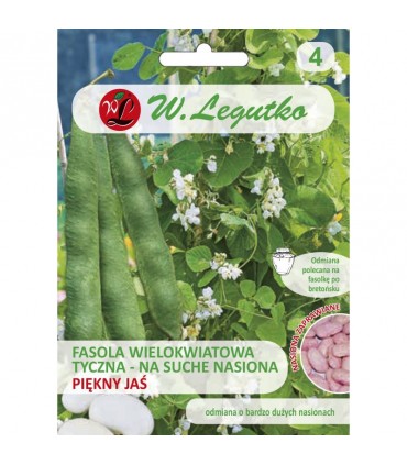 LWZ FASOLA TYCZNA PIĘKNY JAŚ 30G zapr. /2/