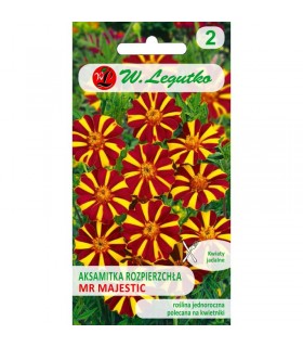 L - AKSAMITKA ROZP. POJ. MR. MAJESTIC 0,3g /1/