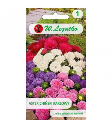 L - ASTER CHIŃSKI KARŁ. MIX 1,25g /1/