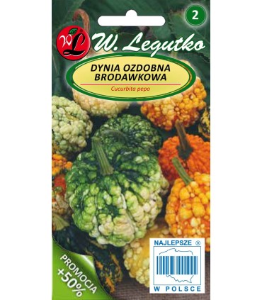 L - DYNIA OZDOBNA BRODAWKOWA 1,5G /2/