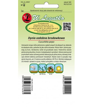 L - DYNIA OZDOBNA BRODAWKOWA 1,5G /2/