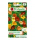 L - NASTURCJA NISKA ALASKA MIX 3G /3/