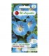 L - WILEC TRÓJBARWNY HEAVENLY BLUE 2g /2/