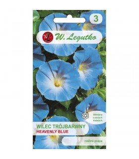 L - WILEC TRÓJBARWNY HEAVENLY BLUE 2G /2/