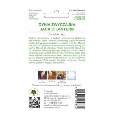 L - DYNIA OZDOBNA JACK O'LANTERN 2g /3/