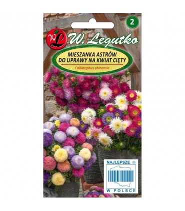 L - ASTER CHIŃSKI MIX NA KWIAT CIĘTY 1G /1/