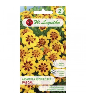 L - AKSAMITKA ROZP. PASCAL 1g /2/