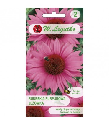 L - RUDBEKIA PURPUROWA JEŻÓWKA RÓŻOWA 1g /1/