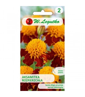 L - AKSAMITKA ROZP. PEŁNA ORANGE FLAME 1g /1/
