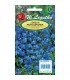 L - LOBELIA STROICZKA NIEB.BLUE CARPET 0,2g /1/