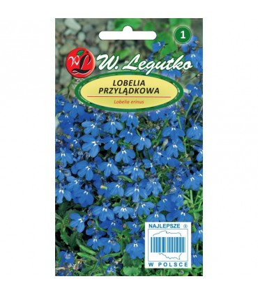 L - LOBELIA STROICZKA NIEB.BLUE CARPET 0,2g /1/