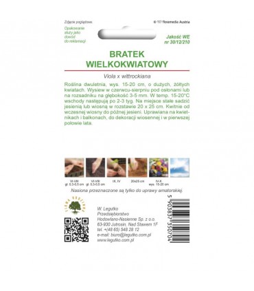 L - BRATEK ŻÓŁTY GOLDGLEB 0,5g /2/