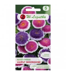 L - ASTER CHIŃSKI LILIPUT MOONSHINE 3G /3/