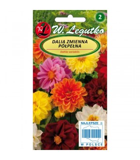 L - DALIA ZMIENNA PÓŁPEŁNA MIX 1G /1/