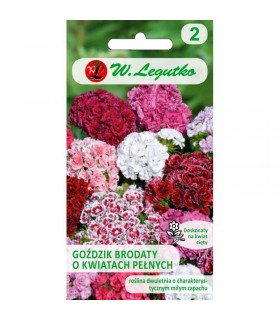 L - GOŹDZIK BRODATY KWIATY PEŁNE MIX 0,5G /1/