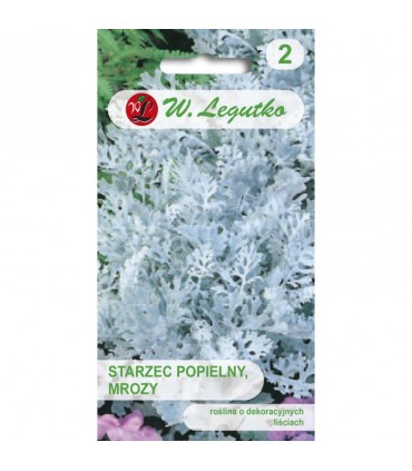 L - STARZEC POPIELNY, MROZY 0,2g /1/