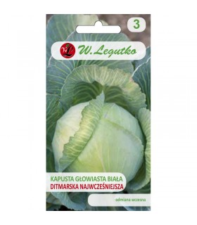 LW - KAPUSTA GŁOWIASTA DITHMARSCHER 2G /2/