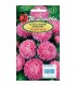 L - ASTER CHIŃSKI KARŁ. RÓŻOWY MILADY ROSE 1g /1/