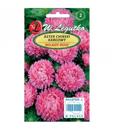L - ASTER CHIŃSKI KARŁ. RÓŻOWY MILADY ROSE 1g /1/