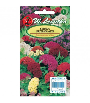 L - CELOZJA GRZEBIENIASTA MIX 0,3g /1/