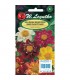L - DALIA ZMIENNA COLLARETTE DANDY MIX 1g /2/