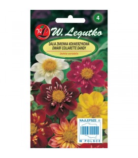 L - DALIA ZMIENNA COLLARETTE DANDY MIX 1g /2/