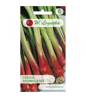 LW - CEBULA SIEDM. CZERWONA RED TOGA 2g /6/