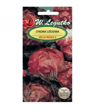 LW - CYKORIA SAŁATOWA PALLA ROSA 3g /1/