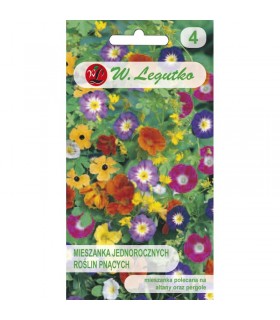 L - MIESZANKA KWIATÓW JEDN. PNĄCE 2g /2/