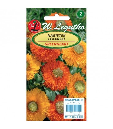 L - NAGIETEK LEKARSKI GREENHEART 2g /1/