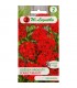 L - GOŹDZIK BRODATY SCARLET BEAUTY 0,5g /1/