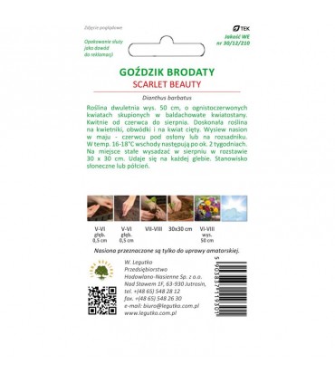 L - GOŹDZIK BRODATY SCARLET BEAUTY 0,5g /1/