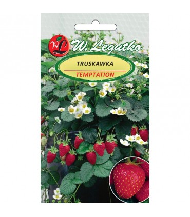 LW - TRUSKAWKA TEMPTATION 0,03G /4/