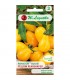 LW - POMIDOR GRUNT. WYS.YELLOW PEARSHAPED 0,2g /2/