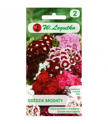 L - GOŹDZIK BRODATY POJEDYNCZY MIX 1g /1/