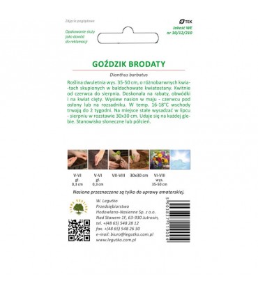 L - GOŹDZIK BRODATY POJEDYNCZY MIX 1g /1/