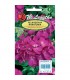 L - PELARGONIA RAB. GAMA F1 FIOLETOWA 0,03g /4/