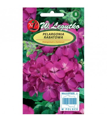 L - PELARGONIA RAB. GAMA F1 FIOLETOWA 0,03g /4/