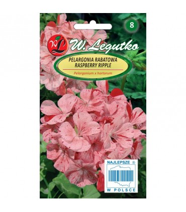 L - PELARGONIA RAB. DIVAS F1 RAS. RIPPLE 0,04g /4/