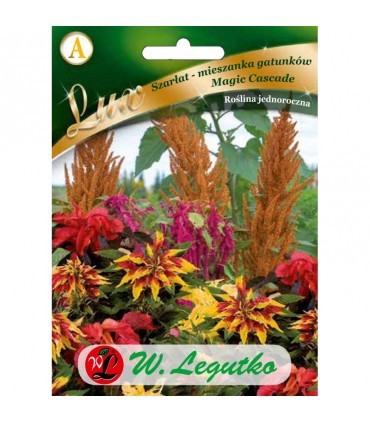 L - LUX SZARŁAT MAGIC CASCADE MIX 0,5g /A/