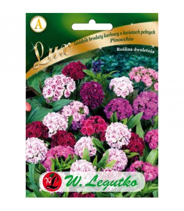 L - LUX GOŹDZIK PINOCCHIO MIX. 0,5g /3/