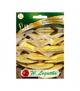 L - LUX GRZYBNIA NA KOŁK. BOCZNIK CYTR. 20szt. /8/