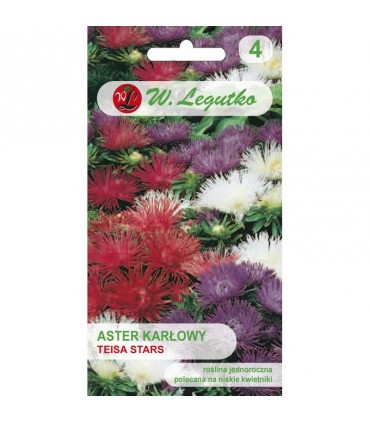 L - ASTER CHIŃSKI KARŁ. IG. TEISA STARS 0,5g /2/