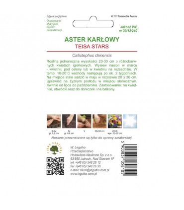 L - ASTER CHIŃSKI KARŁ. IG. TEISA STARS 0,5g /2/