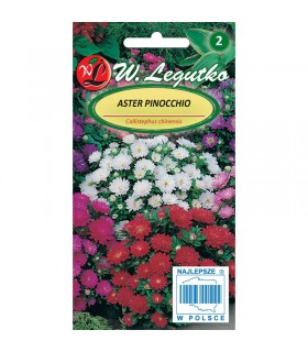 L - ASTER CHIŃSKI PINOCCHIO MIX 0,5G