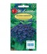 L - HELIOTROP OGRODOWY MARINE 0,1g /2/