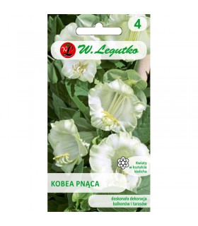 L - KOBEA PNĄCA BIAŁA 6N