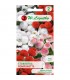 L - STOKROTKA POSPOLITA POMPONETTE 0,1g /1/