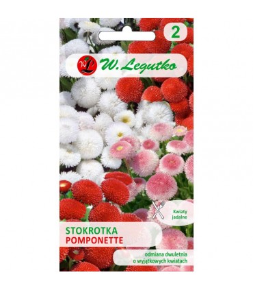 L - STOKROTKA POSPOLITA POMPONETTE 0,1g /1/